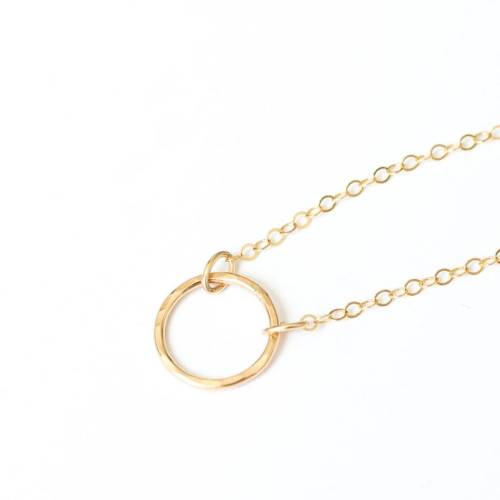 Eternal Circle Forever Necklace - GiGisPetals
