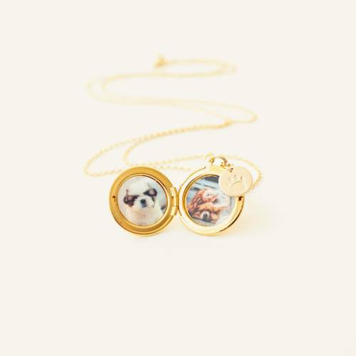 Pet Remembrance Locket in Silver, Rose Gold and Gold Locket - Choose 0-2 Photos