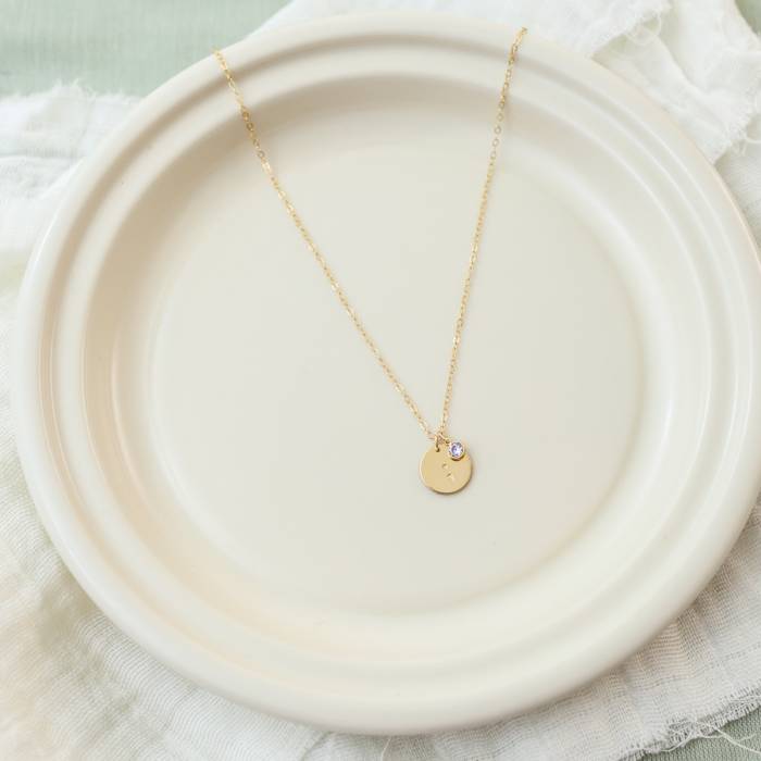 Semicolon 1/2" Disc and Birthstone Necklace - Image 3